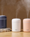 Portable 300ml Humidifier USB Cool Mist Maker