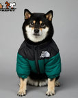 Luxury Winter Dog Jacket