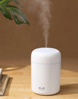 Portable 300ml Humidifier USB Cool Mist Maker