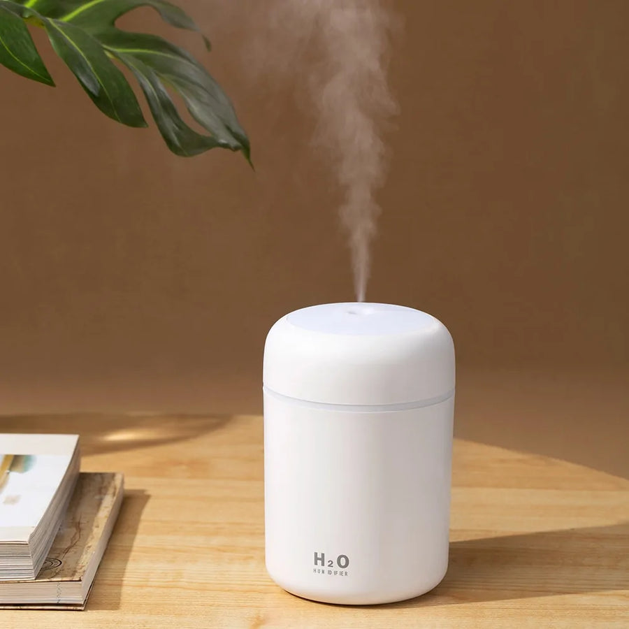 Portable 300ml Humidifier USB Cool Mist Maker