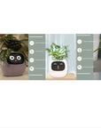 Smart Planter with AI: 49 Expressions, 7 Sensors for Easy Plant Care