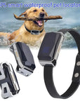 Smart Collar Waterproof Pet Locator