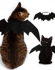 Halloween Pet Costume