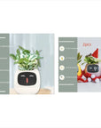 Smart Planter with AI: 49 Expressions, 7 Sensors for Easy Plant Care