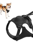 All-in-One Dog Harness & Retractable Leash