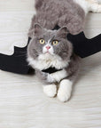 Halloween Cute Pet Clothes Black Bat