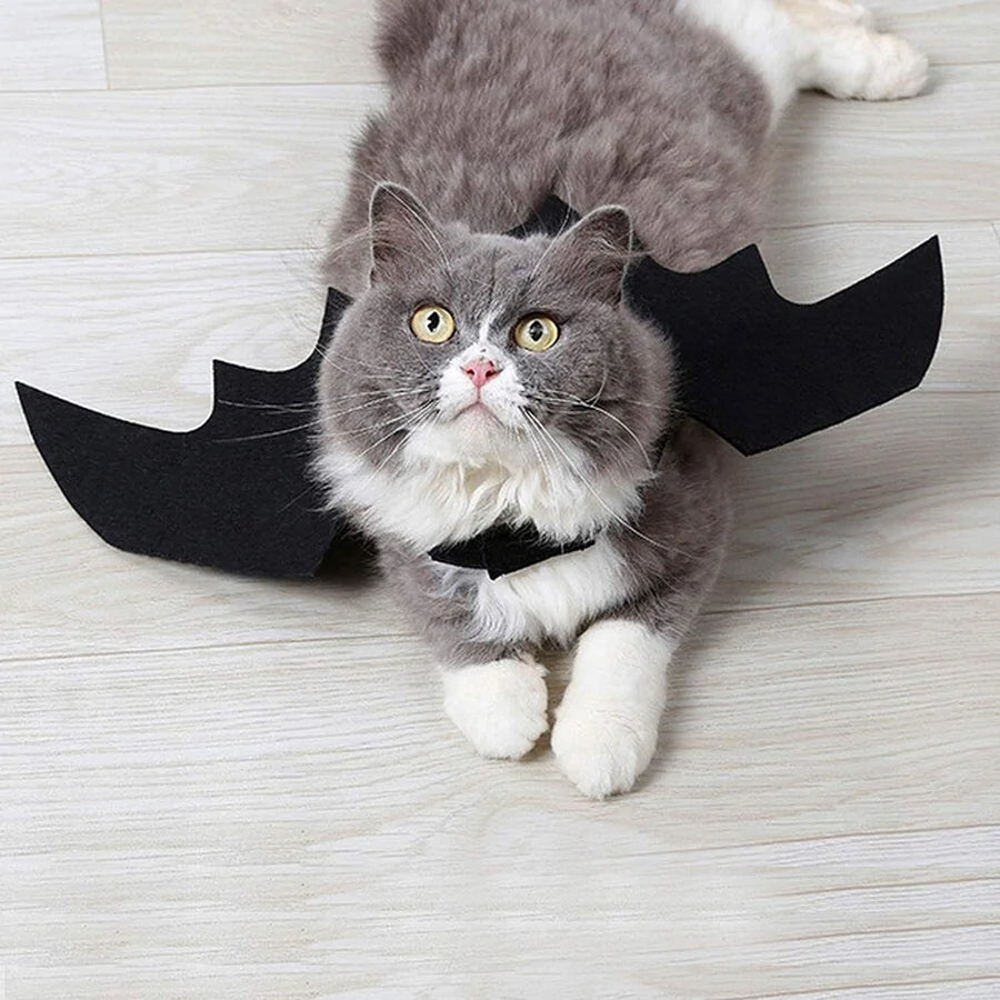 Halloween Cute Pet Clothes Black Bat