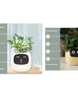 Smart Planter with AI: 49 Expressions, 7 Sensors for Easy Plant Care