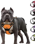 Reflective Adjustable Dog Harness For Walking