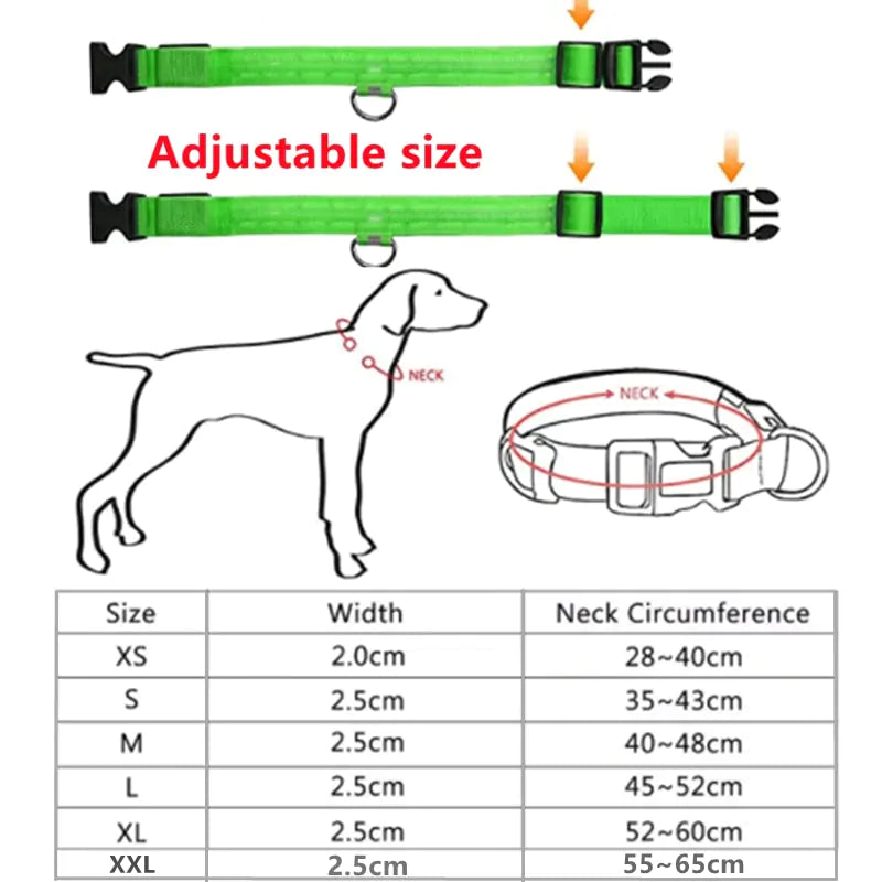 Dog Collar