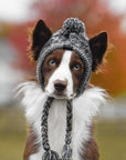 Warm Winter Pet Hat