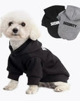 Chic Canine Couture