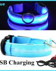 Glowing Dog Collar