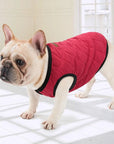 Dog Winter Jacket