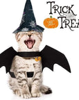 Halloween Cute Pet Clothes Black Bat