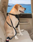 Dog Seat Belt