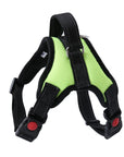 Pet Walking Harness Adjustable Comfort