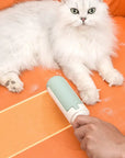 Pet Hair Remover