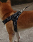 Comfortable And Secure Harness For Pets