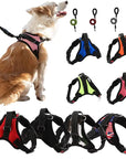 Pet Walking Harness Adjustable Comfort