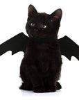 Halloween Cute Pet Clothes Black Bat