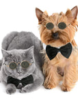 Pet Accessories Cat Glasses