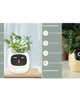 Smart Planter with AI: 49 Expressions, 7 Sensors for Easy Plant Care