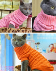 Spring / Autumn Animal Clothes