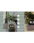 Smart Planter with AI: 49 Expressions, 7 Sensors for Easy Plant Care