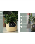 Smart Planter with AI: 49 Expressions, 7 Sensors for Easy Plant Care