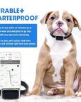 Smart Collar Waterproof Pet Locator