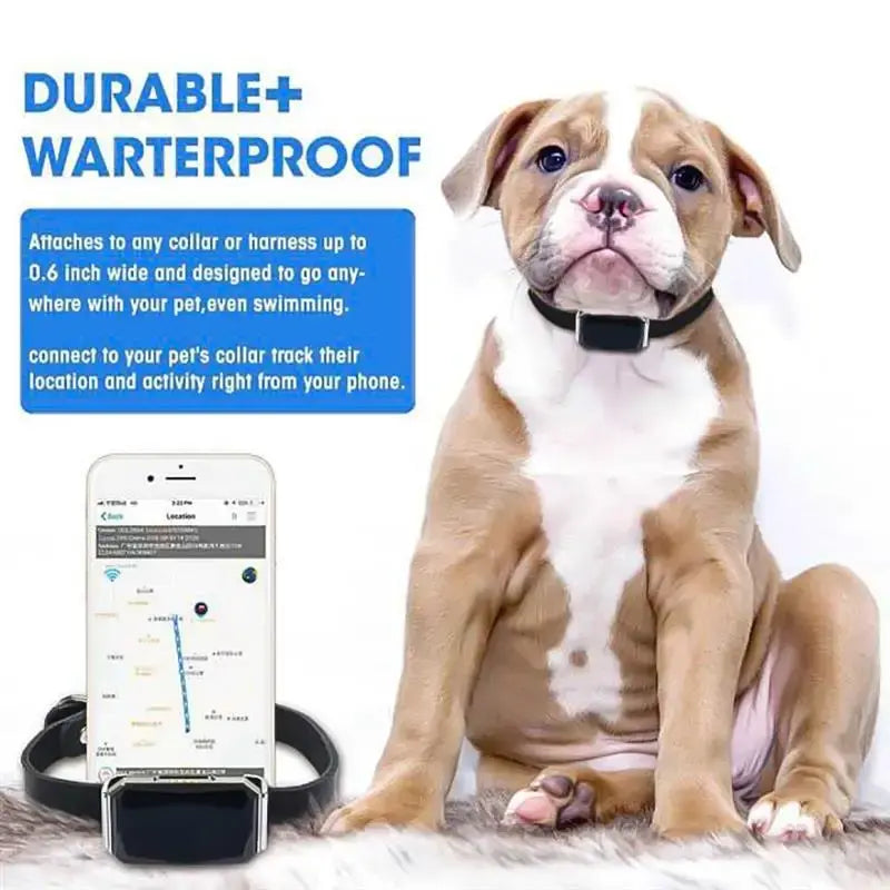 Smart Collar Waterproof Pet Locator