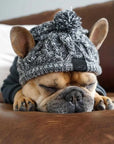 Warm Winter Pet Hat