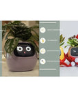 Smart Planter with AI: 49 Expressions, 7 Sensors for Easy Plant Care