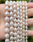 Natural Freshwater Pearl Beads