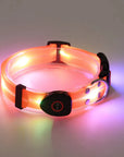 Rechargeable LED Pet Collar with Nylon Leash