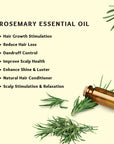 Rosemary Hair Oil