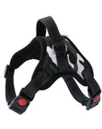 Pet Walking Harness Adjustable Comfort