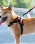 Pet Walking Harness Adjustable Comfort