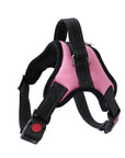 Pet Walking Harness Adjustable Comfort