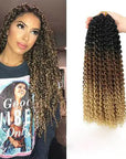 Passion Twist Hair Extensions