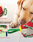 Interactive Dog Toy