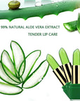 Aloe Vera Moisturizing Lip Balm