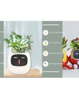 Smart Planter with AI: 49 Expressions, 7 Sensors for Easy Plant Care