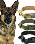 Dog Collar