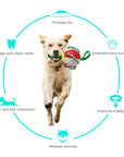 Interactive Dog Toy