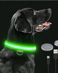 Glowing Dog Collar