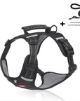 Reflective Stress- Relieving Harness