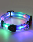 Rechargeable LED Pet Collar with Nylon Leash