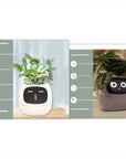 Smart Planter with AI: 49 Expressions, 7 Sensors for Easy Plant Care